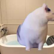 ヒメ日記 2025/04/20 14:46 投稿 マフユ ラブコレクション