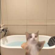 ヒメ日記 2025/05/09 03:31 投稿 マフユ ラブコレクション