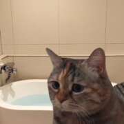 ヒメ日記 2025/06/29 22:16 投稿 マフユ ラブコレクション