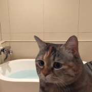 ヒメ日記 2025/11/06 18:16 投稿 マフユ ラブコレクション