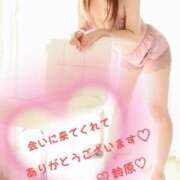 ヒメ日記 2024/12/11 12:12 投稿 鈴原【すずはら】 丸妻 西船橋店