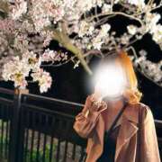 ヒメ日記 2025/04/01 19:03 投稿 あゆな プロフィール 大阪店