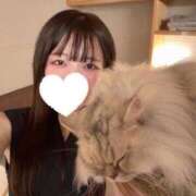 ヒメ日記 2026/07/03 19:06 投稿 ゆう PHANTOM(ファントム)