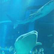 ヒメ日記 2025/03/13 23:16 投稿 そら 新潟デリヘル倶楽部