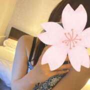 ヒメ日記 2025/04/17 16:06 投稿 そら 新潟デリヘル倶楽部