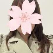 ヒメ日記 2025/04/22 08:36 投稿 そら 新潟デリヘル倶楽部