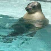 ヒメ日記 2025/04/26 00:16 投稿 そら 新潟デリヘル倶楽部