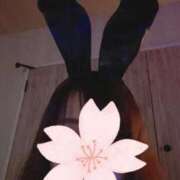 ヒメ日記 2025/04/28 09:36 投稿 そら 新潟デリヘル倶楽部