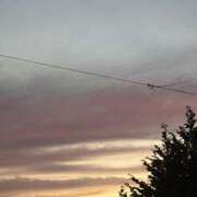 ヒメ日記 2025/06/14 09:17 投稿 そら 新潟デリヘル倶楽部