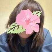 ヒメ日記 2025/06/25 14:16 投稿 そら 新潟デリヘル倶楽部