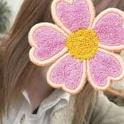 ヒメ日記 2026/04/15 23:26 投稿 そら 新潟デリヘル倶楽部