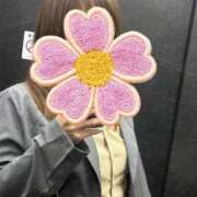 ヒメ日記 2026/04/23 23:06 投稿 そら 新潟デリヘル倶楽部