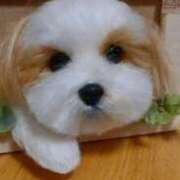 ヒメ日記 2026/02/24 22:56 投稿 常坂文乃(ときさかふみの) 五十路マダム福知山店(カサブランカグループ)