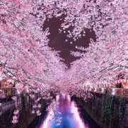 ヒメ日記 2026/04/20 12:16 投稿 常坂文乃(ときさかふみの) 五十路マダム福知山店(カサブランカグループ)