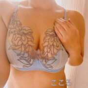 ヒメ日記 2024/12/21 13:50 投稿 こころ ごほうびSPA五反田店