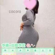 ヒメ日記 2025/03/03 09:30 投稿 こころ ごほうびSPA五反田店