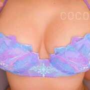 ヒメ日記 2025/12/01 16:50 投稿 こころ ごほうびSPA五反田店