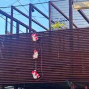 ヒメ日記 2025/12/11 18:00 投稿 こころ ごほうびSPA五反田店