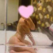 ヒメ日記 2026/02/01 21:05 投稿 こころ ごほうびSPA五反田店