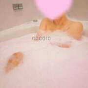 ヒメ日記 2026/03/08 00:15 投稿 こころ ごほうびSPA五反田店