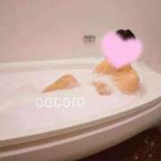 ヒメ日記 2026/03/11 19:50 投稿 こころ ごほうびSPA五反田店