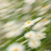 ヒメ日記 2026/03/26 17:22 投稿 こころ ごほうびSPA五反田店