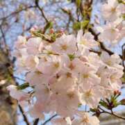 ヒメ日記 2026/03/31 17:00 投稿 こころ ごほうびSPA五反田店