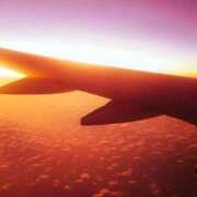 さつき LINEくれている方へ ニューグランド