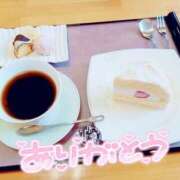 ヒメ日記 2026/04/14 18:50 投稿 福永美咲(ふくながみさき) 五十路マダム福知山店(カサブランカグループ)