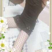 ヒメ日記 2026/02/07 17:10 投稿 本田しほり(ほんだしほり) 五十路マダム福知山店(カサブランカグループ)