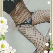 ヒメ日記 2026/03/01 19:56 投稿 本田しほり(ほんだしほり) 五十路マダム福知山店(カサブランカグループ)