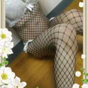 ヒメ日記 2026/04/05 19:08 投稿 本田しほり(ほんだしほり) 五十路マダム福知山店(カサブランカグループ)