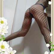 本田しほり(ほんだしほり) М様 五十路マダム福知山店(カサブランカグループ)