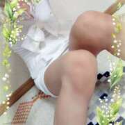 ヒメ日記 2026/06/13 13:50 投稿 本田しほり(ほんだしほり) 五十路マダム福知山店(カサブランカグループ)