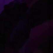 ヒメ日記 2024/12/20 15:34 投稿 あまね クラブKG