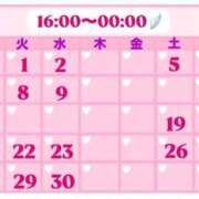 ヒメ日記 2025/03/25 12:43 投稿 あまね クラブKG