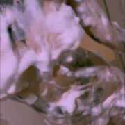 ヒメ日記 2025/06/22 13:47 投稿 あまね クラブKG