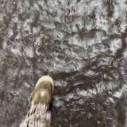 ヒメ日記 2025/09/11 16:33 投稿 あまね クラブKG