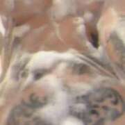 ヒメ日記 2025/09/20 21:23 投稿 あまね クラブKG