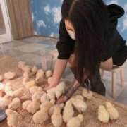 ヒメ日記 2026/02/04 15:23 投稿 あまね クラブKG