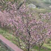 なあみ お休み 熟女の風俗最終章 仙台店