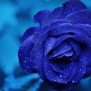 ヒメ日記 2024/12/28 21:24 投稿 早川奈津 五十路マダム富山店(カサブランカグループ)