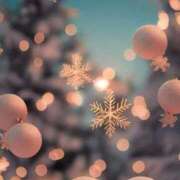 ヒメ日記 2024/12/29 18:24 投稿 早川奈津 五十路マダム富山店(カサブランカグループ)