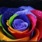 ヒメ日記 2025/01/05 20:02 投稿 早川奈津 五十路マダム富山店(カサブランカグループ)