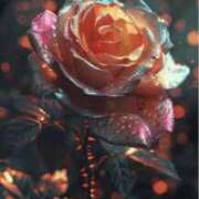 ヒメ日記 2025/02/08 19:04 投稿 早川奈津 五十路マダム富山店(カサブランカグループ)