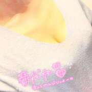 ヒメ日記 2025/04/11 12:20 投稿 早川奈津 五十路マダム富山店(カサブランカグループ)