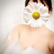 ヒメ日記 2025/11/07 21:20 投稿 あんり ぷるるん小町梅田店