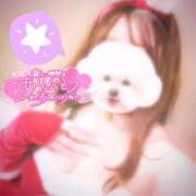 ヒメ日記 2025/12/25 23:25 投稿 あんり ぷるるん小町梅田店