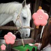 ヒメ日記 2026/01/11 09:31 投稿 あんり ぷるるん小町梅田店