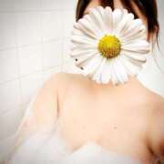 ヒメ日記 2026/01/18 09:30 投稿 あんり ぷるるん小町梅田店